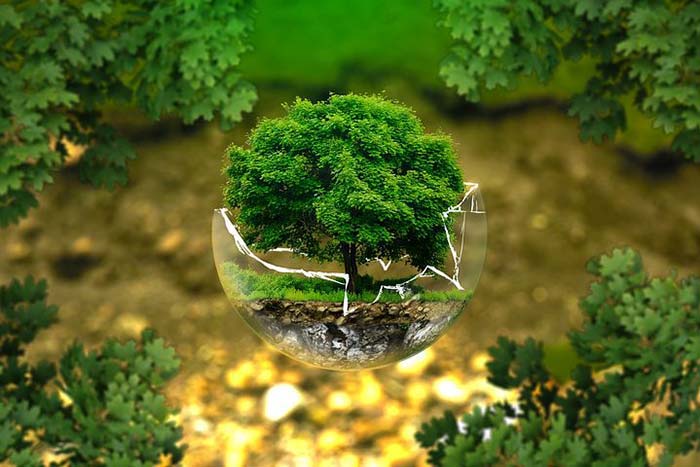 روز جهانی محیط زیست (15 خرداد 1402) - گروه تشخیصی درمانی فرجاد - فرجاد قم - فرجاد