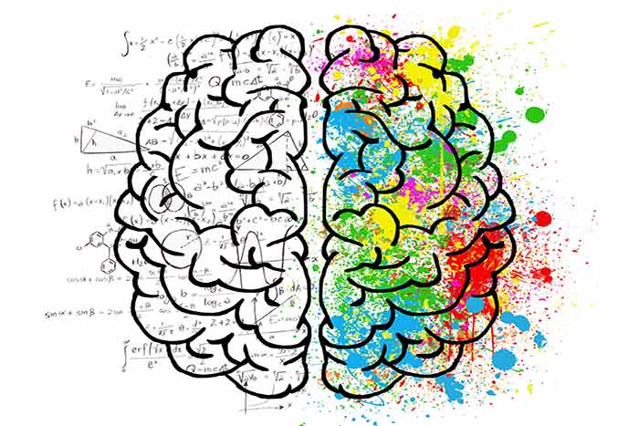 اختلال نقص توجه/بیش‌فعالی (ADHD) - 0 تا 100 ای دی اچ دی - گروه ?????? ????? - فرجاد قم - ADHD