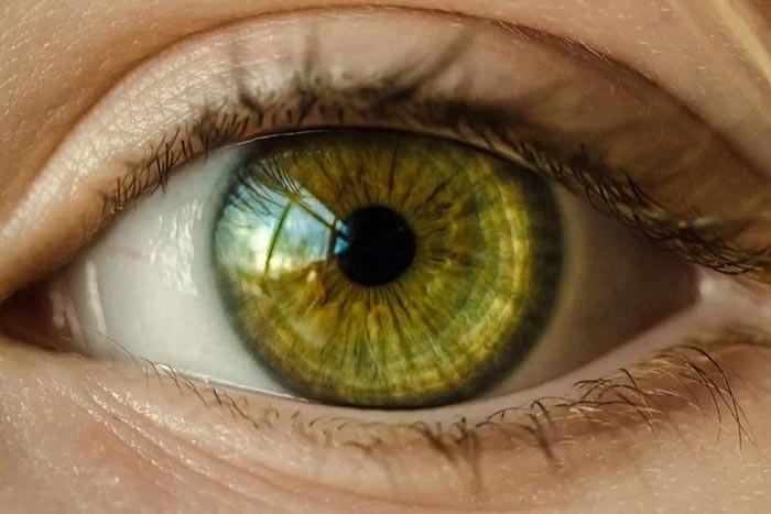 نواع رنگ چشم و چگونکی ایجاد آنها