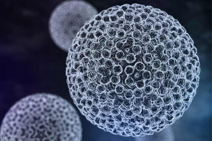 hpv - اچ پی وی - زگیل تناسلی - گروه ?????? ????? - فرجاد قم - فرجاد - آزمایشگاه خاص آزما